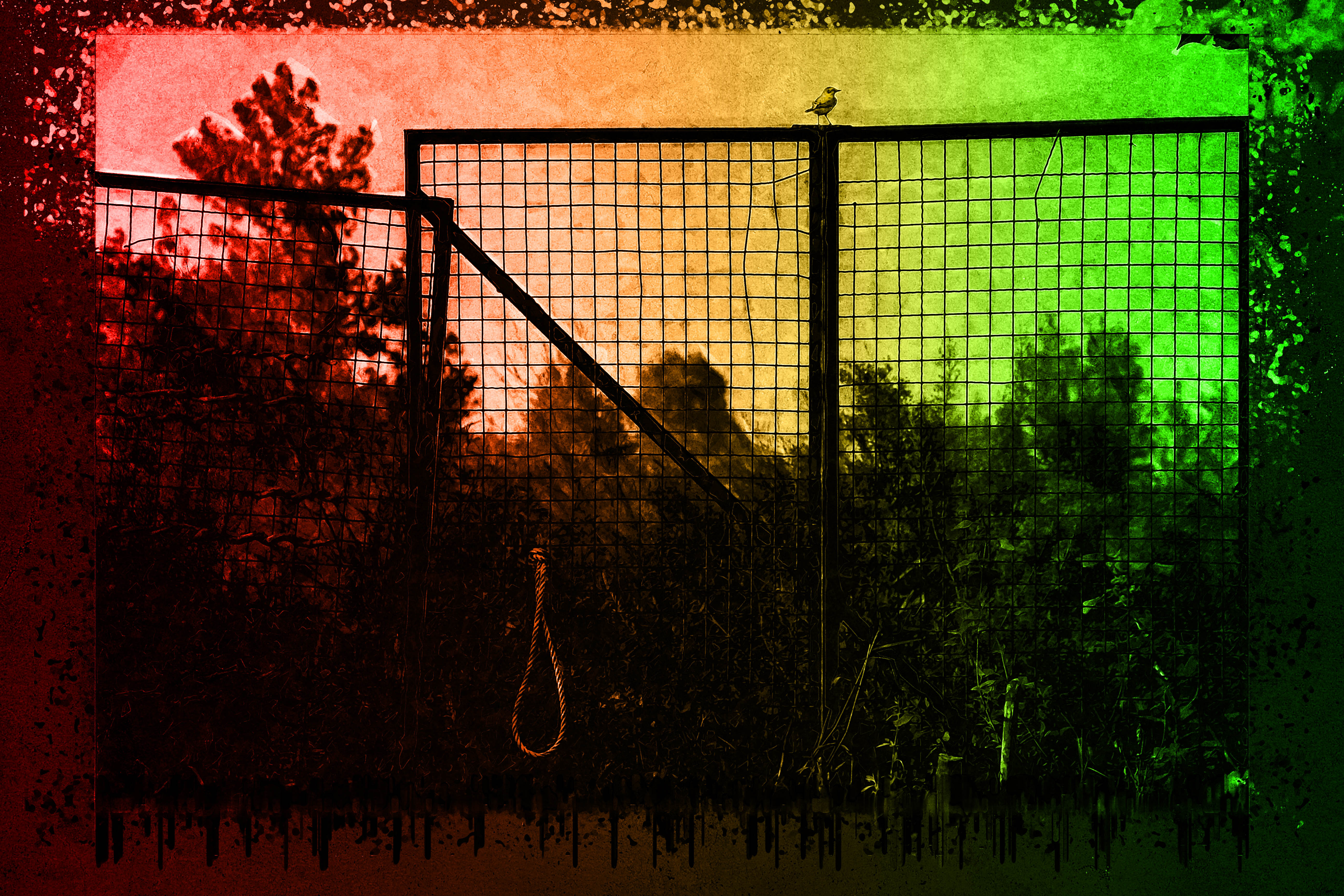 Nft FREEDOM_M.E