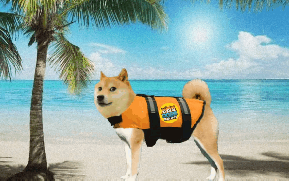 Nft dSQUAD Cool Dog