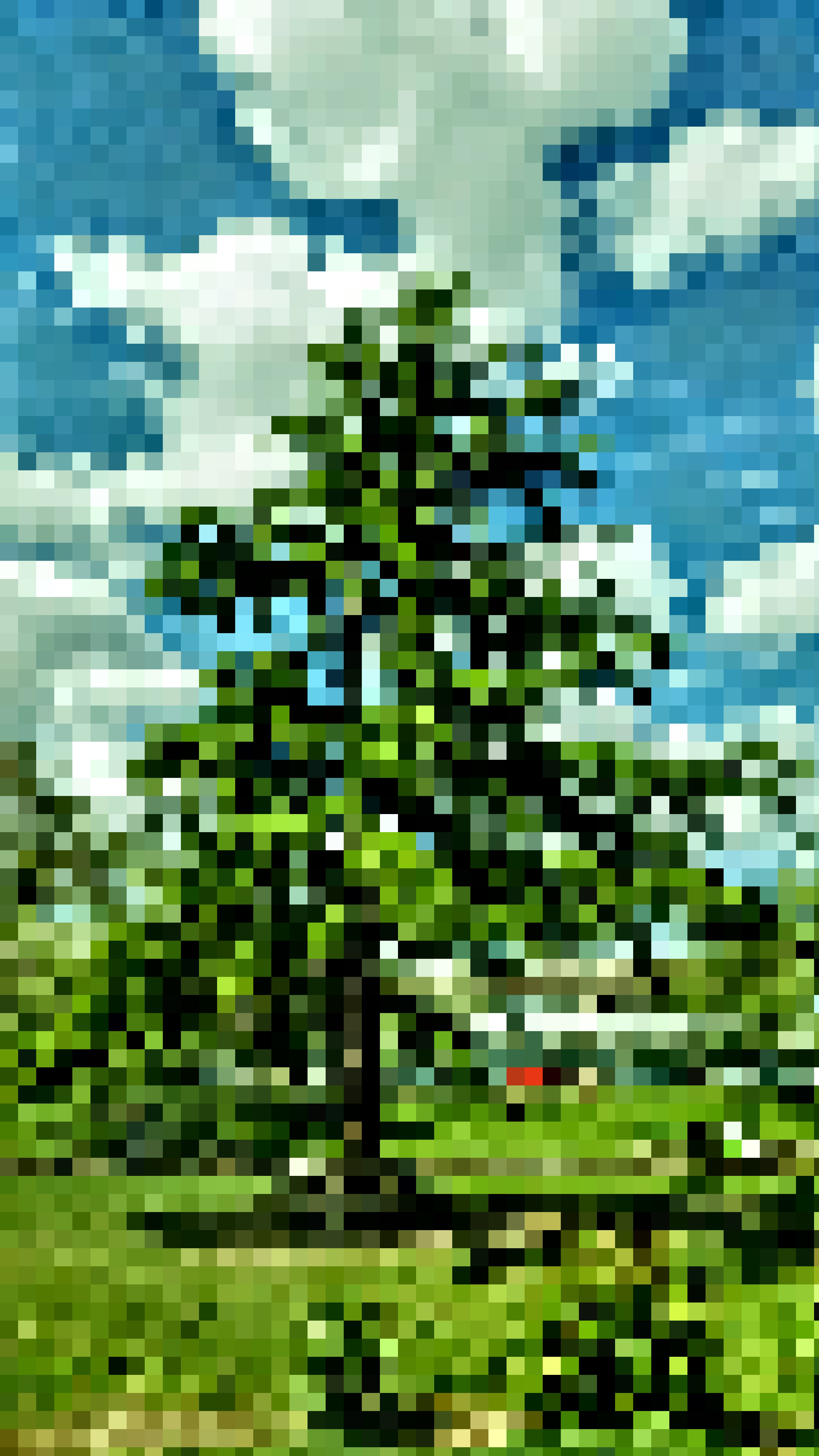 Nft Portfolio Tree