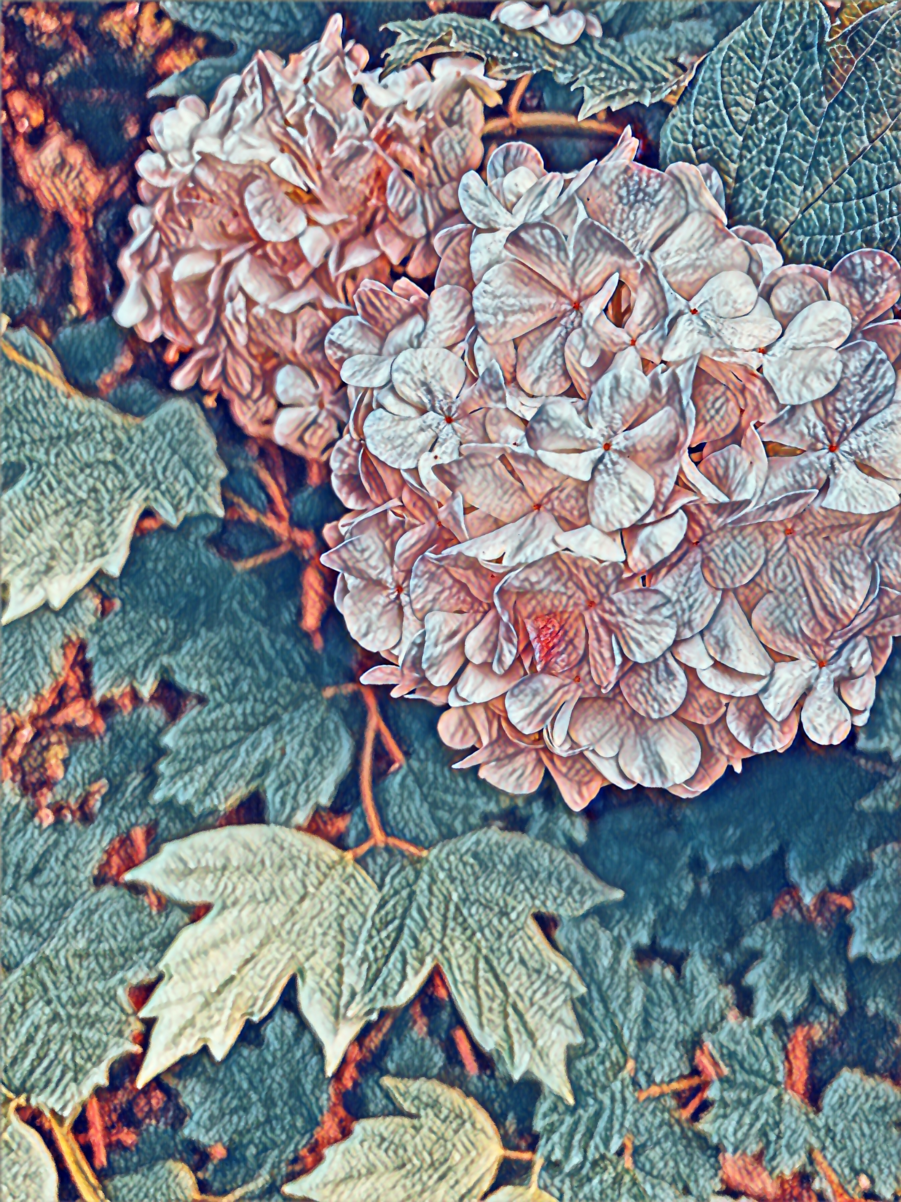 Nft May Flowers 🌺 