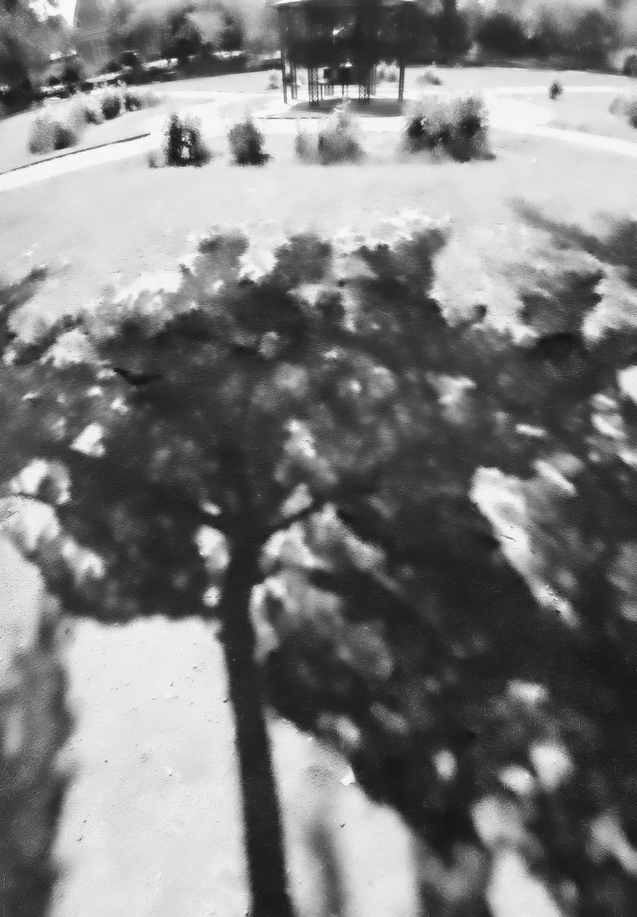 Nft Shadow 