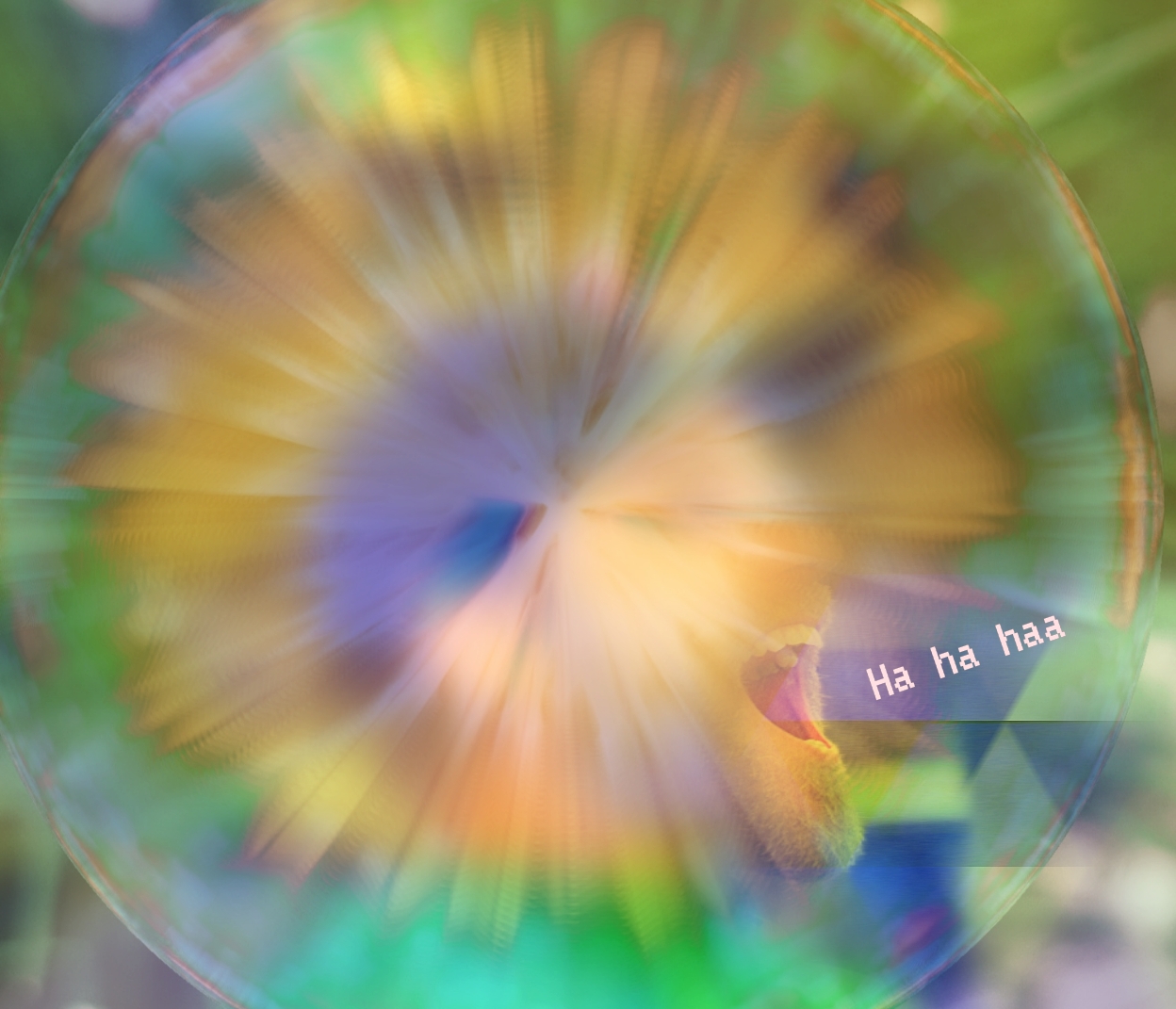 Nft Laughter