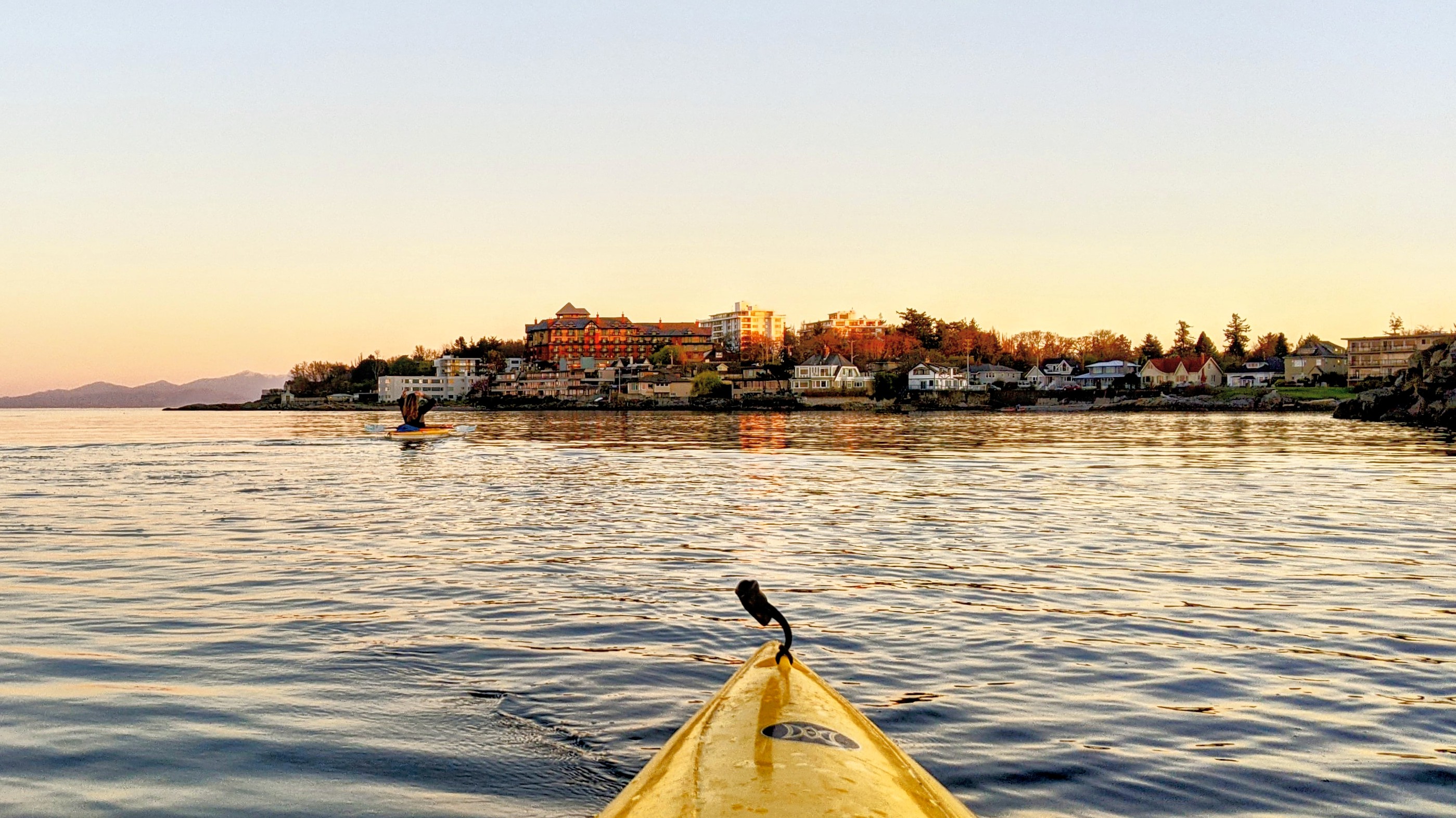 Nft Paddling freedom