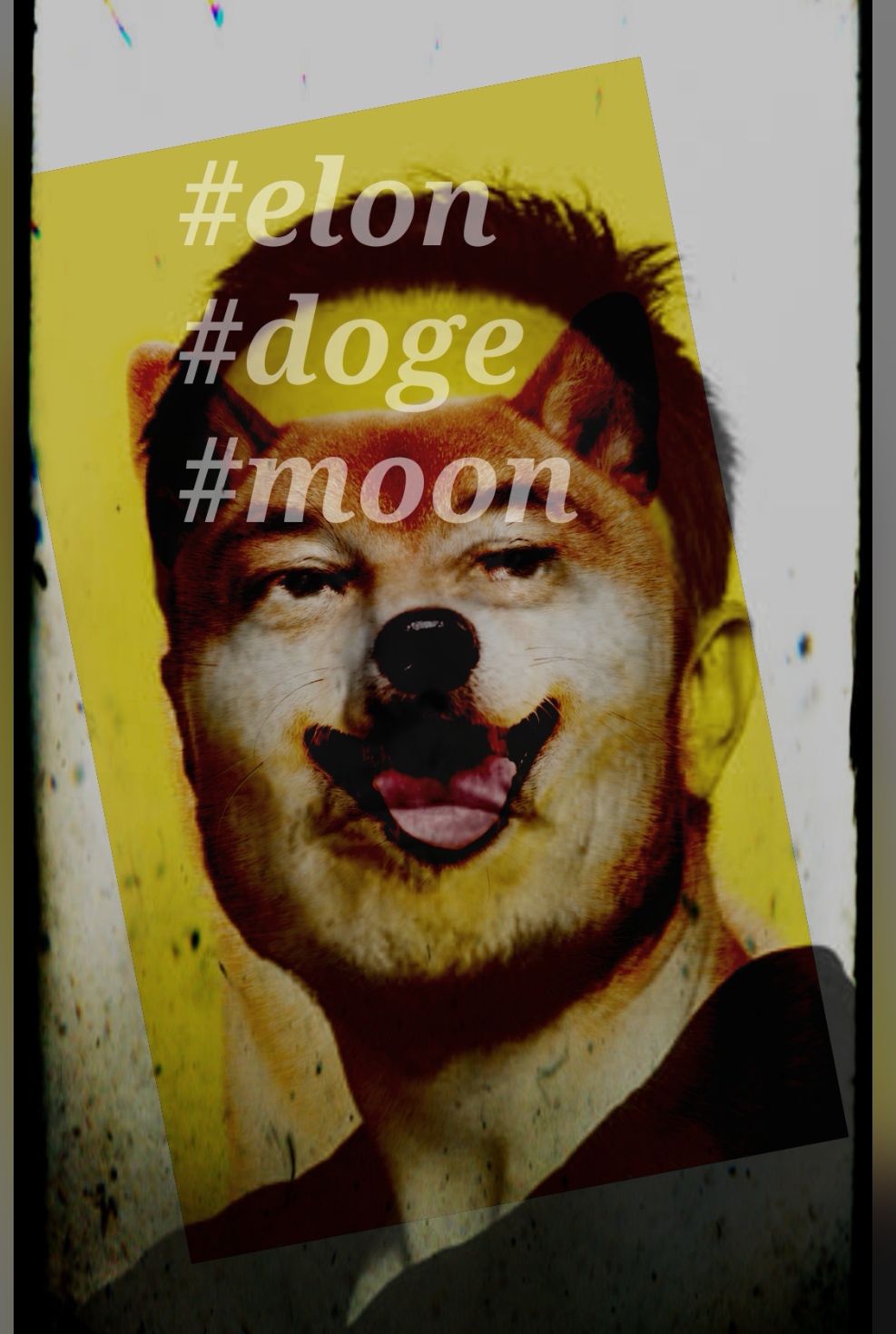 Nft Elon Doge Moon
