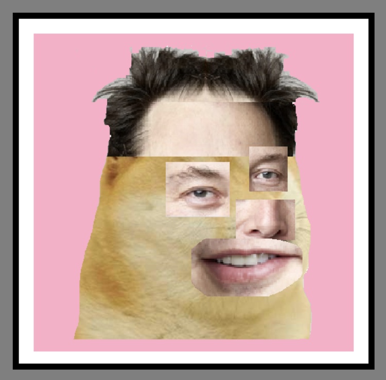 Nft UGLY ELON - PINK