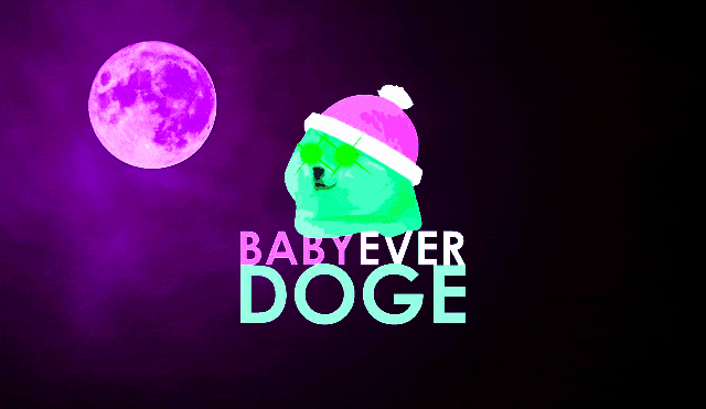 Nft BABY EVERDOGE#13