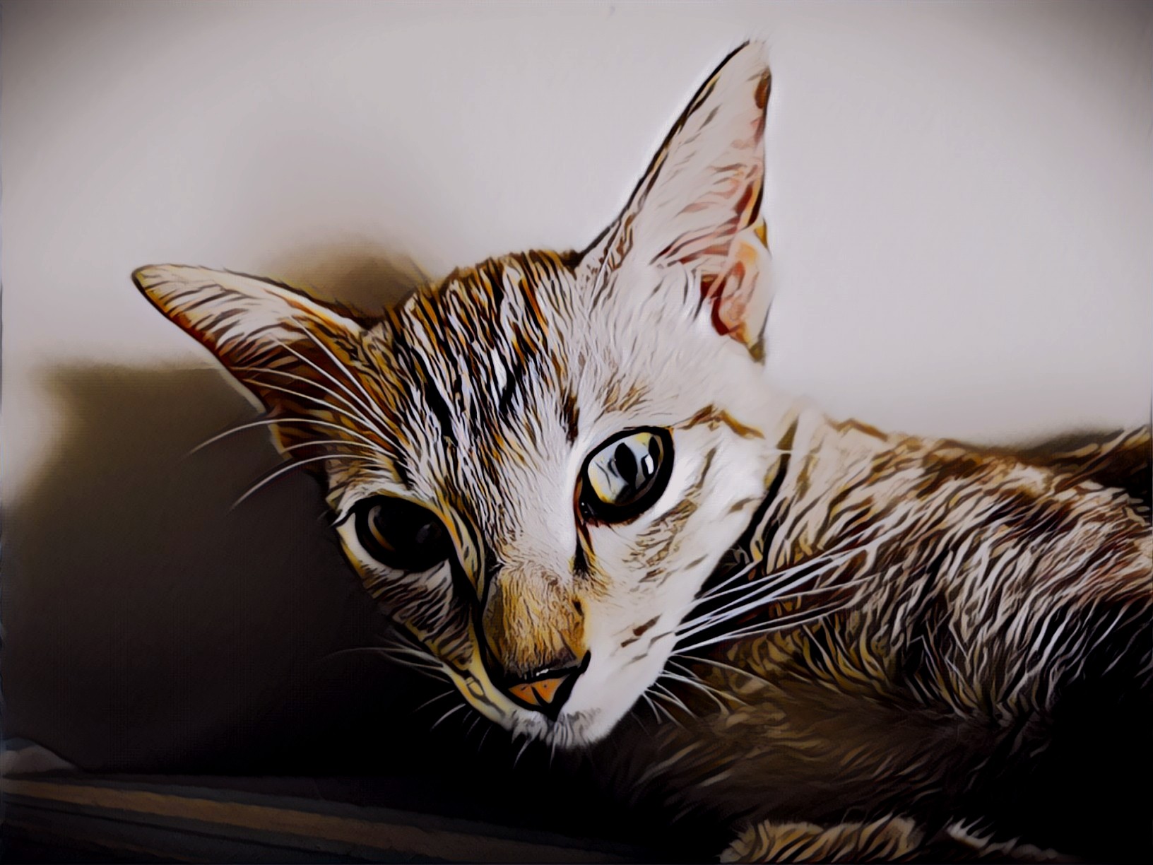 Nft Crypto The Cat - 01/01