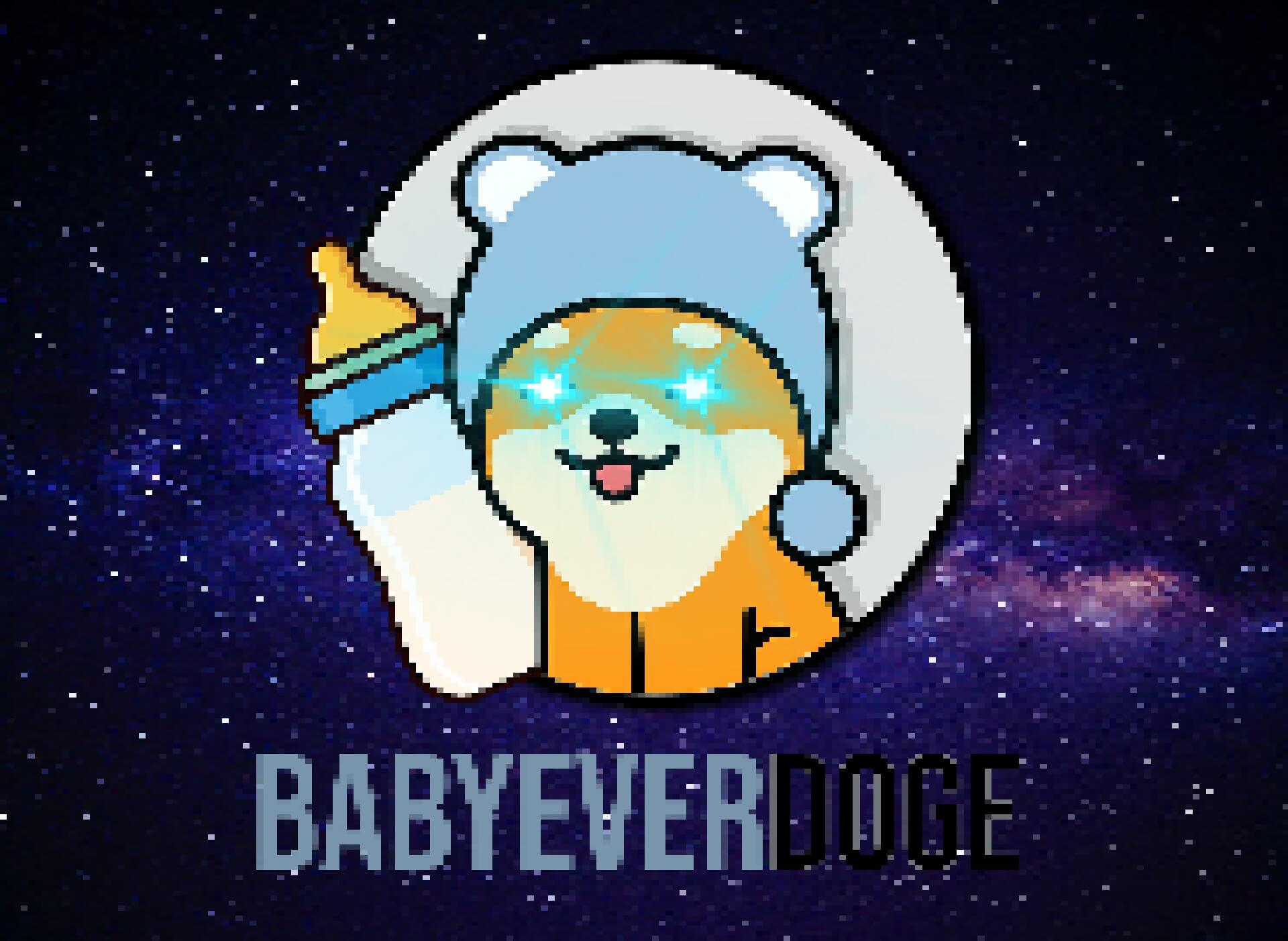 Nft BABY EVERDOGE 2.0 #16