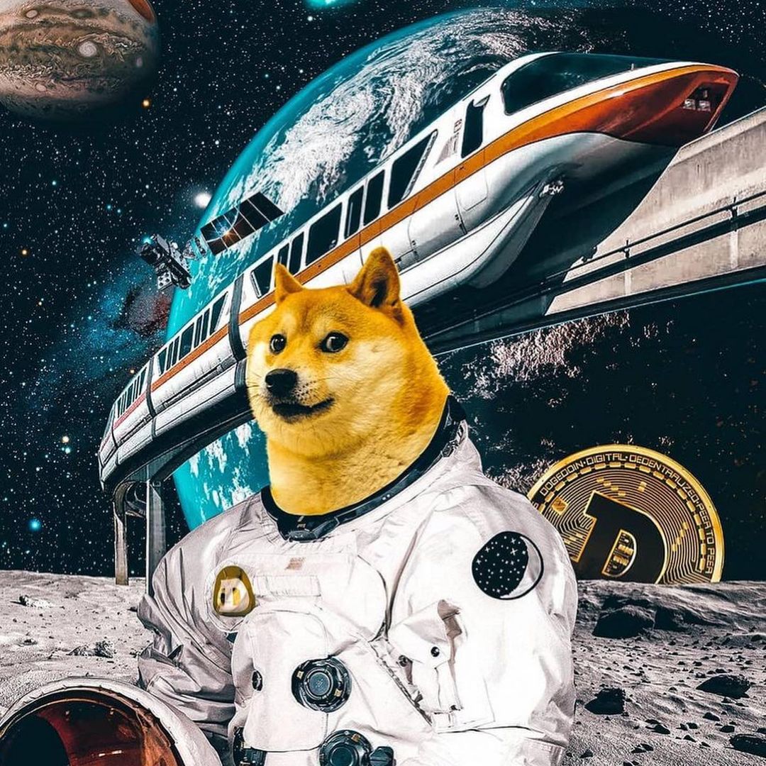 Nft Doge