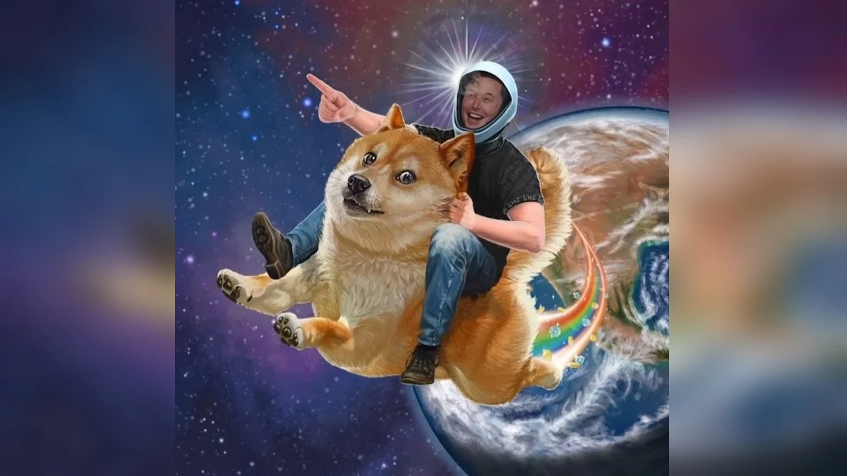 Nft Doge to the moon