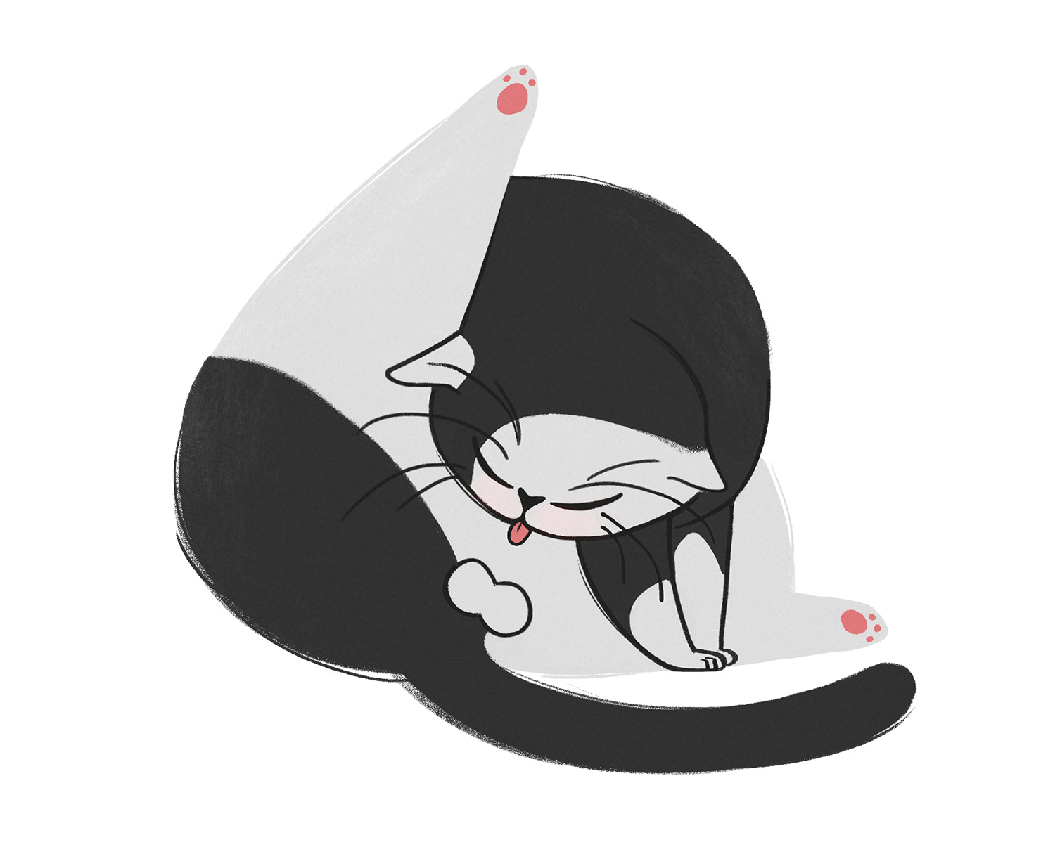 Nft #5 CATZ 5/5