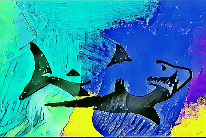 Nft Sharky