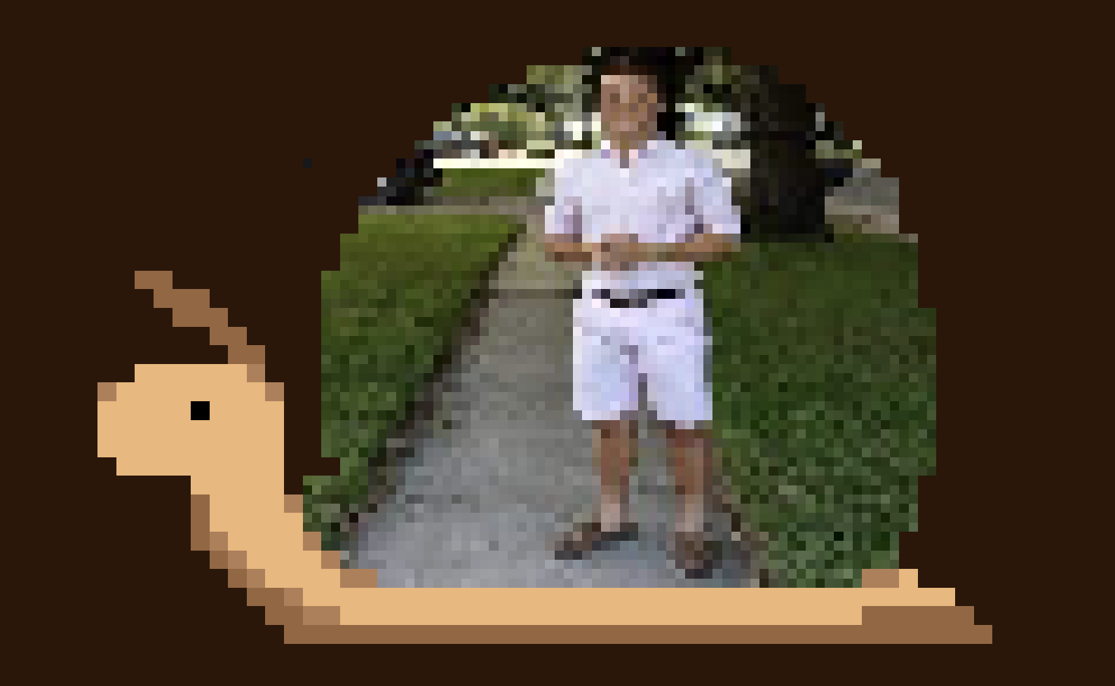 Snail 47 NFT Collection Airnfts