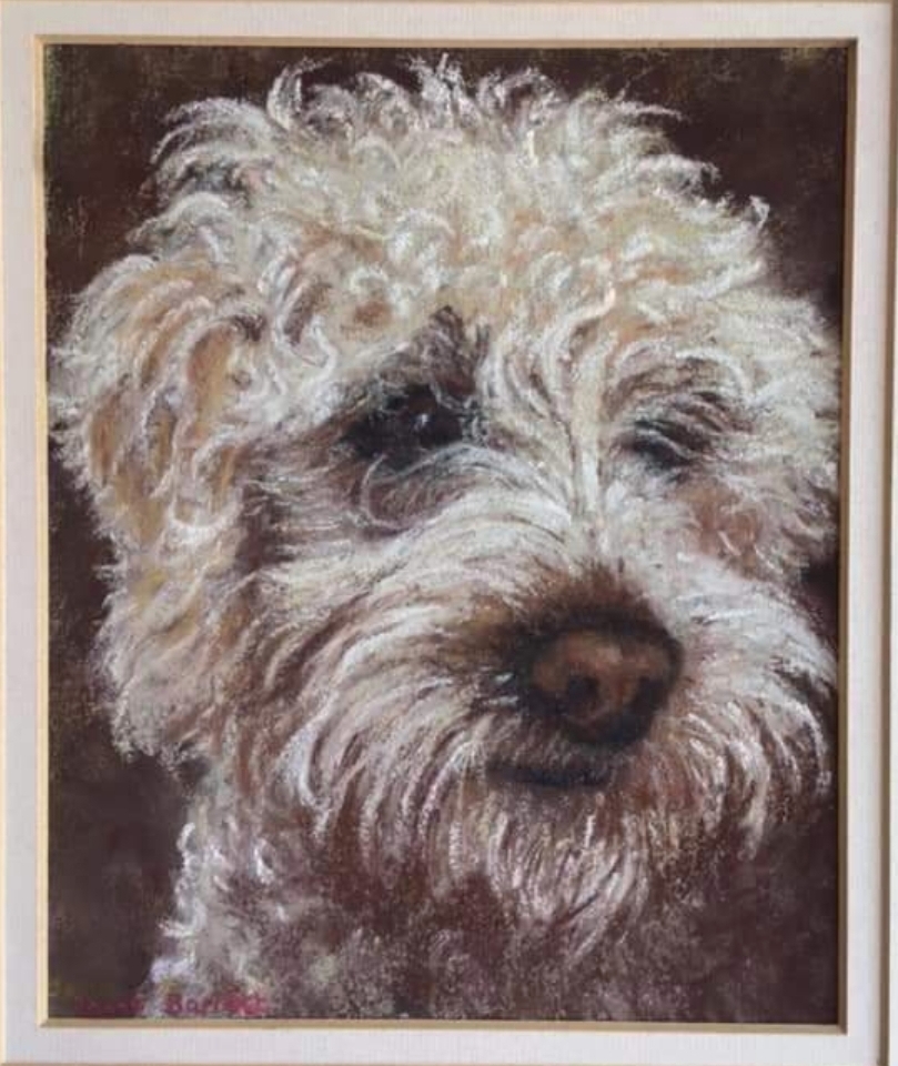 Nft Scruffy Pup