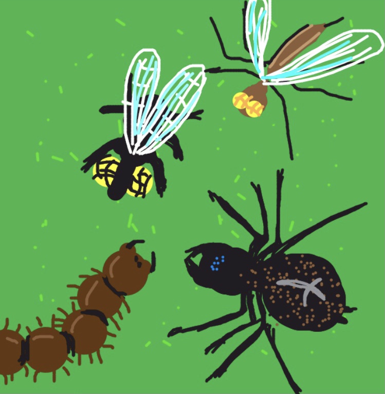 Nft InsectMeeting