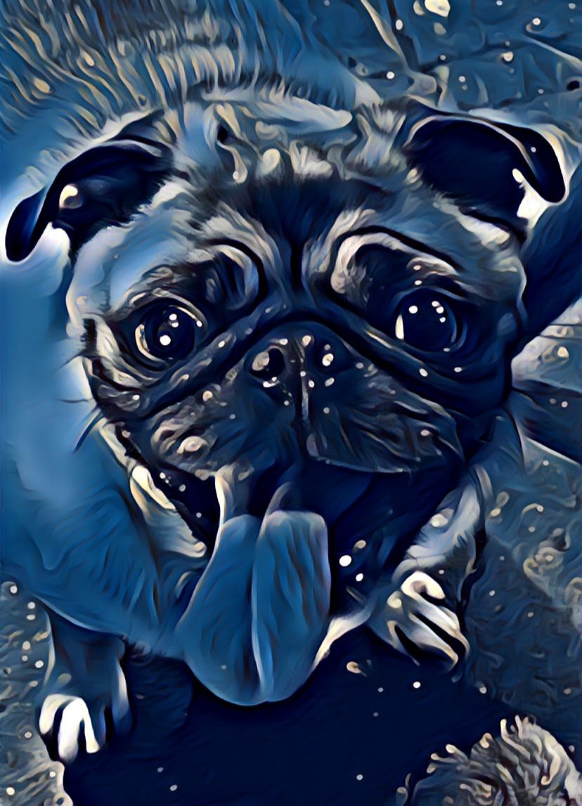 Nft Pugs #03