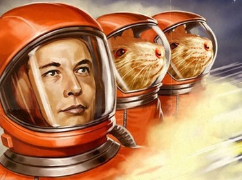 Nft Elon to the moon