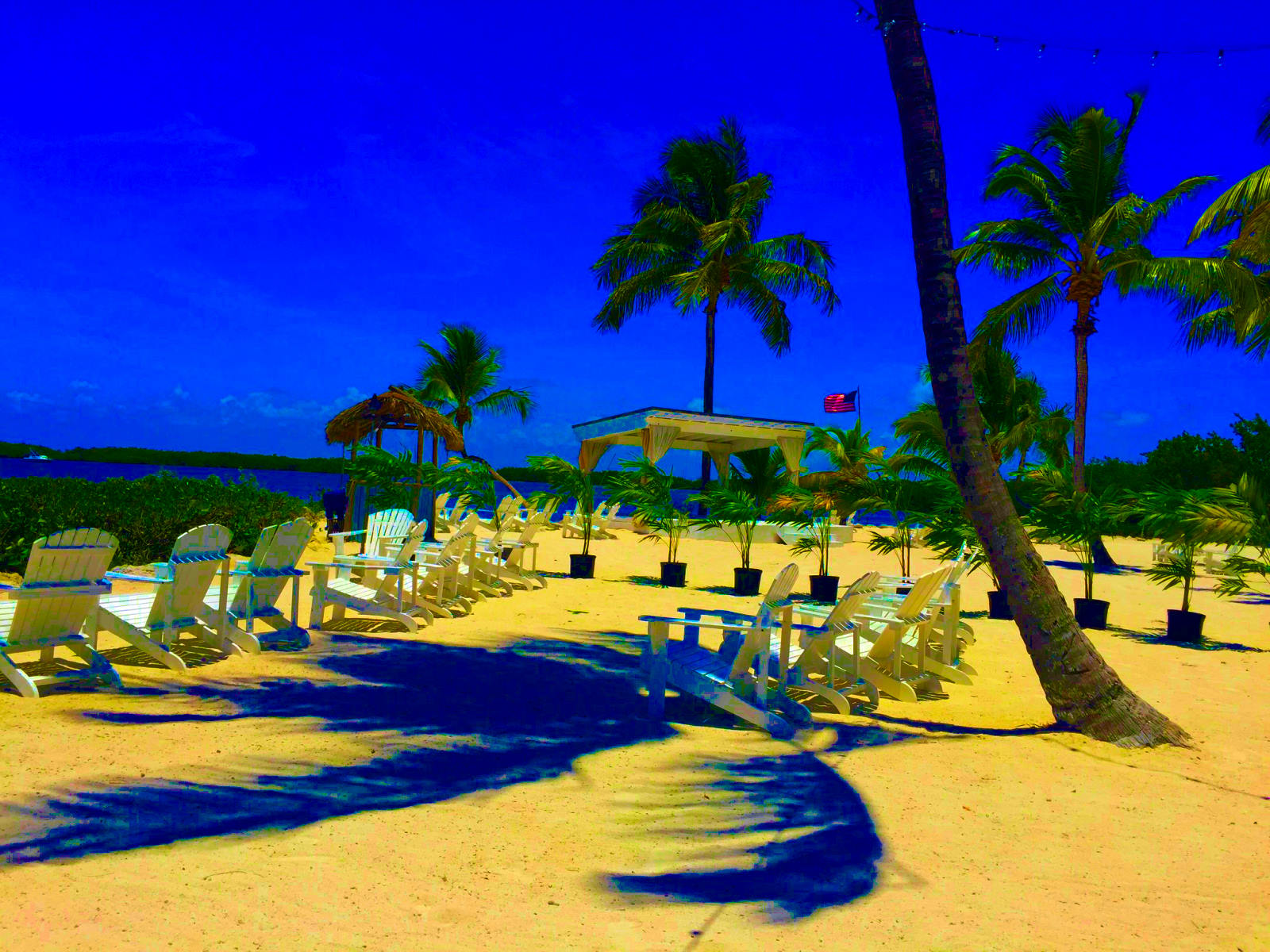 Nft Key Largo Scene