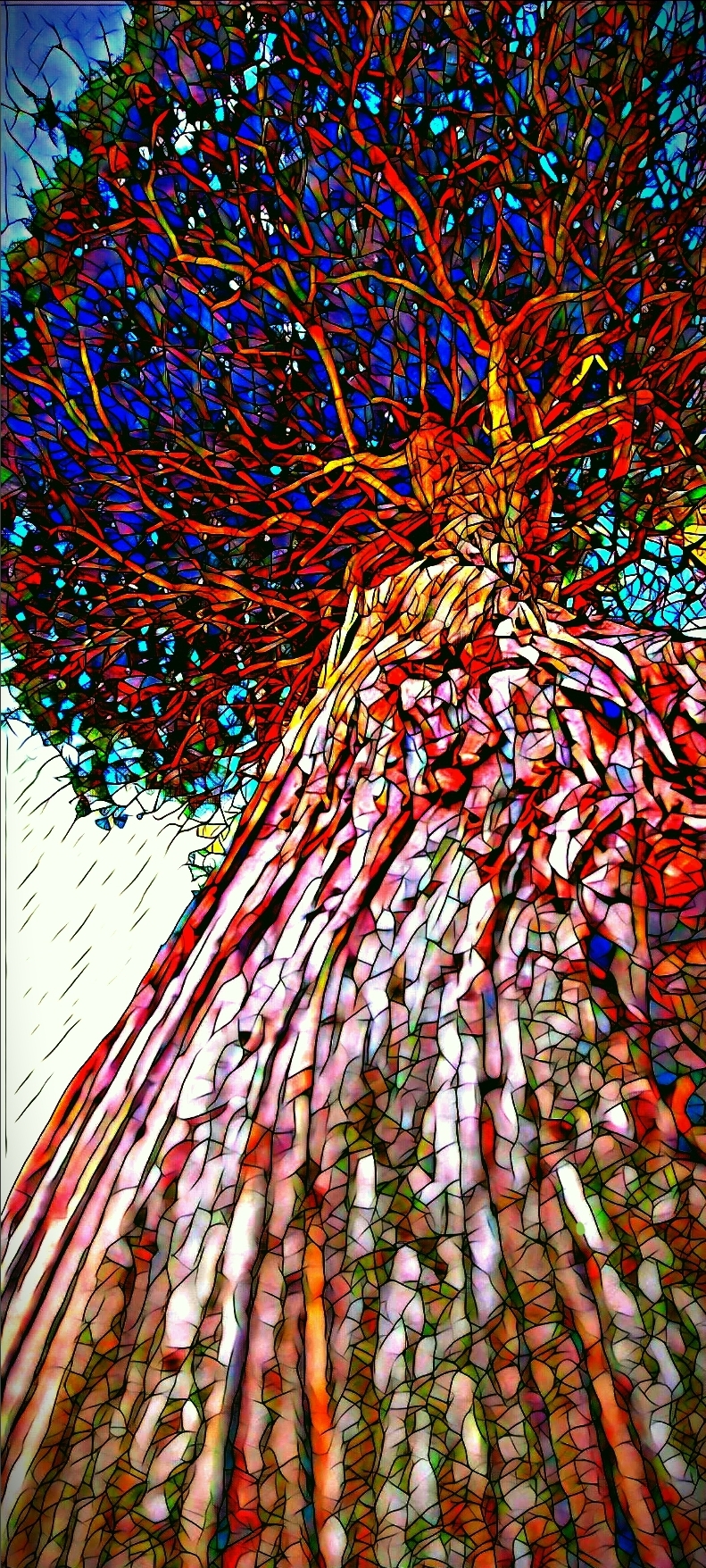 Forever Tree 🌳 NFT Collection Airnfts