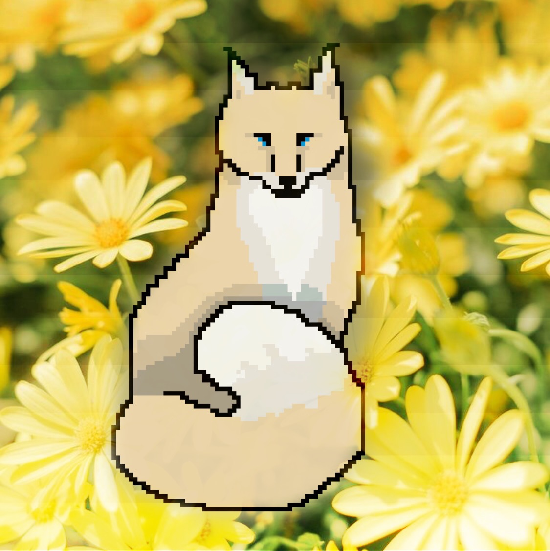 Nft Foxy Collection #87