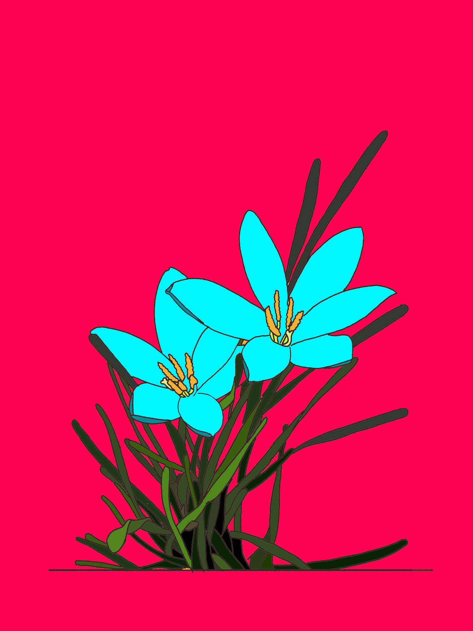 Nft Rain lily
