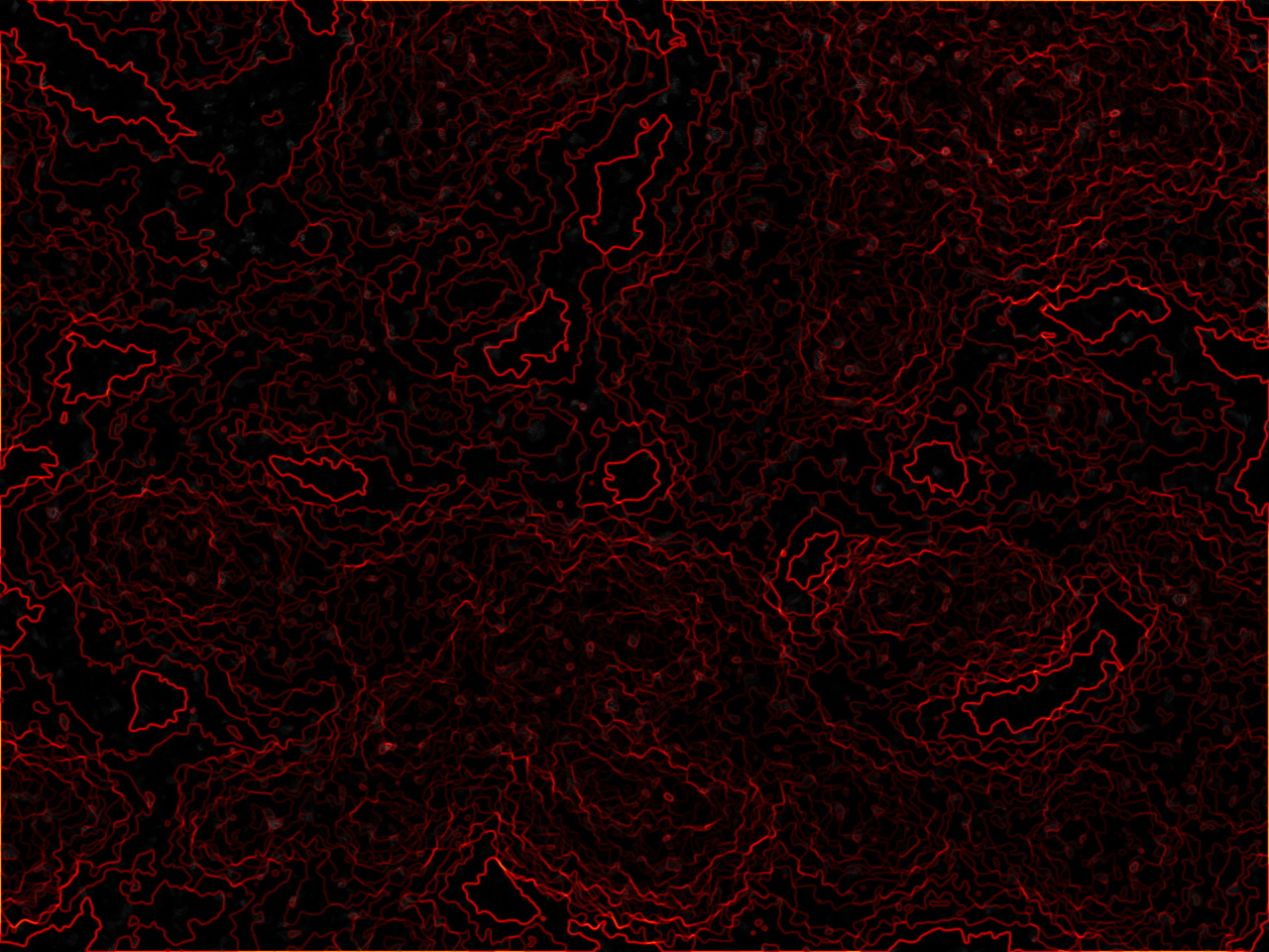 Nft Quantum fluctuations