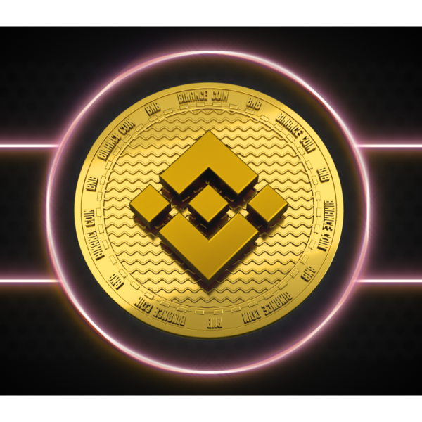 Nft Binance (BNB) #0000
