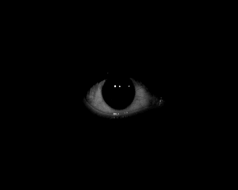 Nft Scared of the dark 