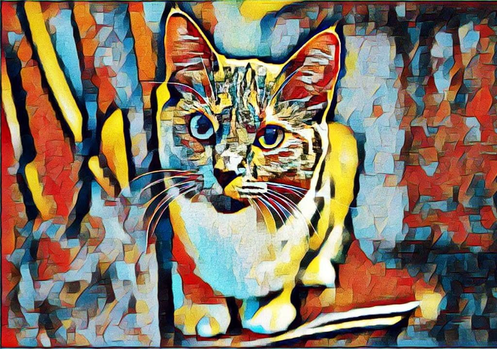 Nft Crypto Cat 