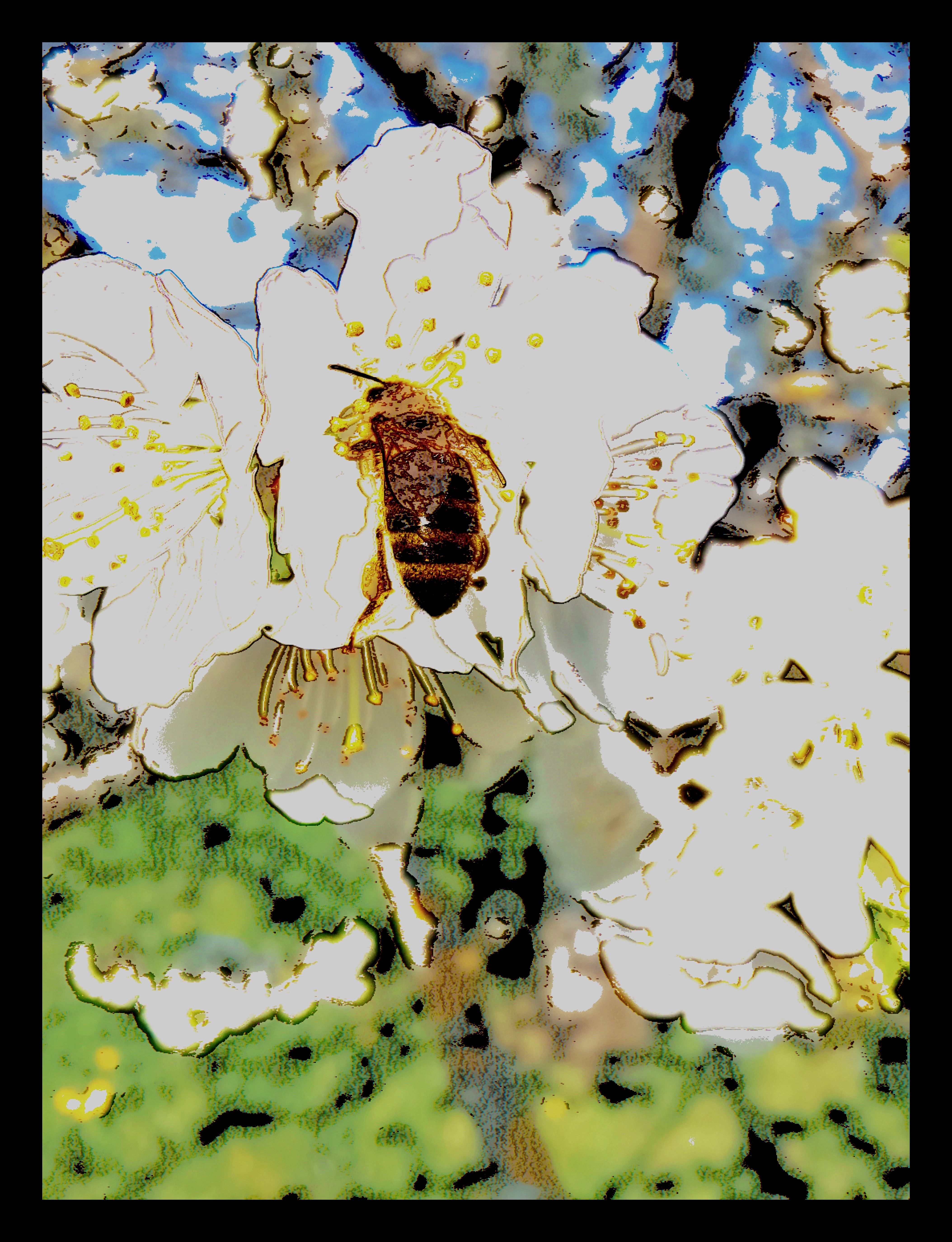 Nft Beez 1/1