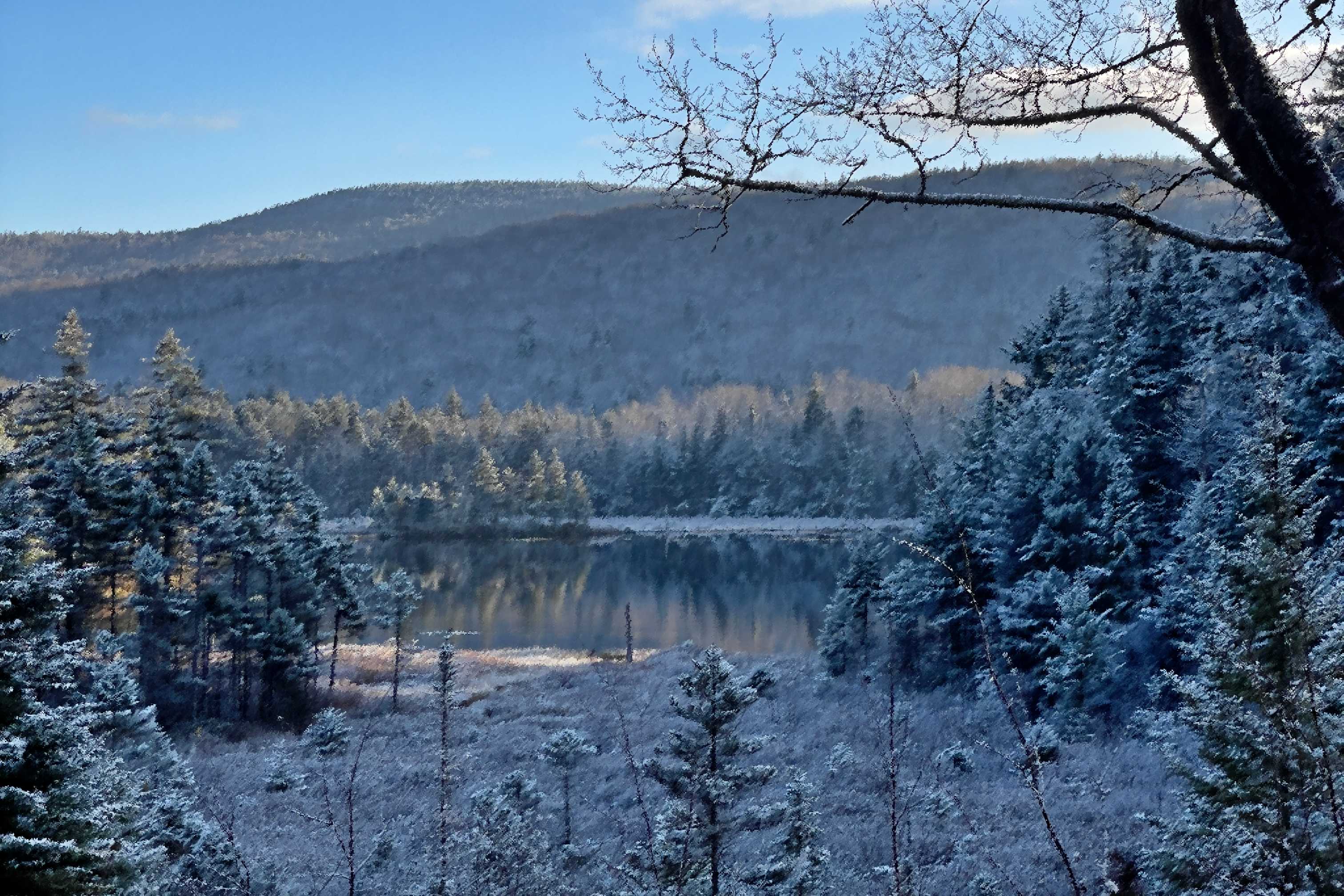 Nft Vermont Winter Wonderland PIX
