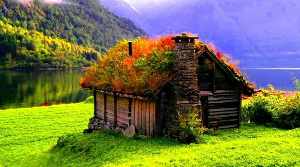 Nft House