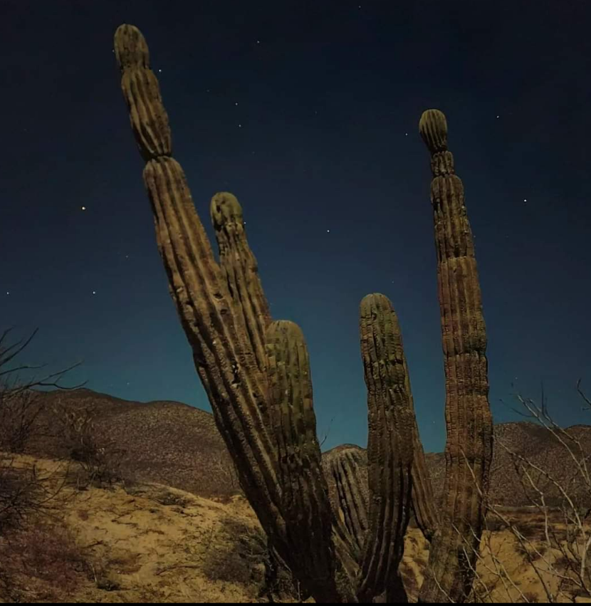 La Ventana Mexico NFT Collection Airnfts