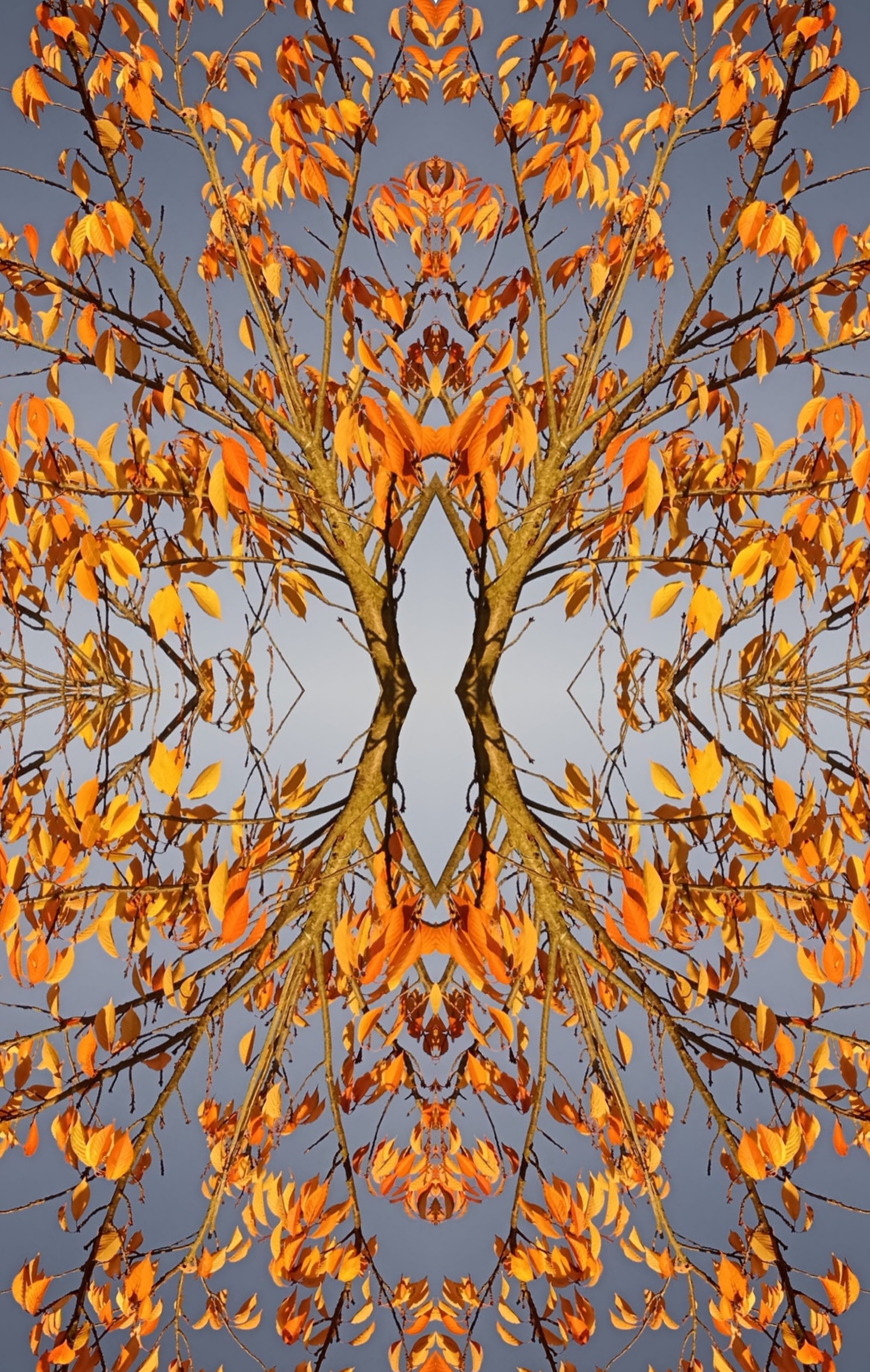 Nft Pttrn #1