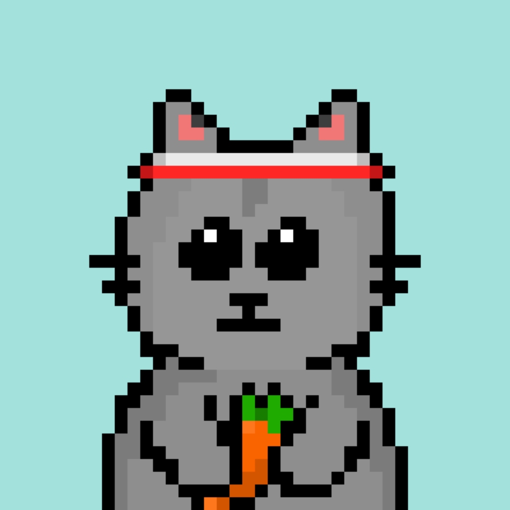 Nft Chonky Cats #047