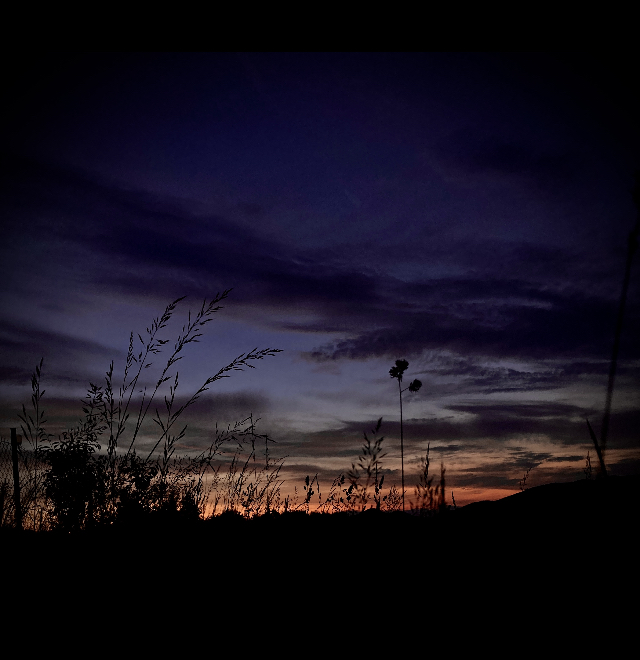 Nft Nature #2