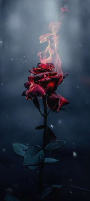 Nft Fire Rose