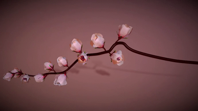 Nft Cherry Blossom さくら #1
