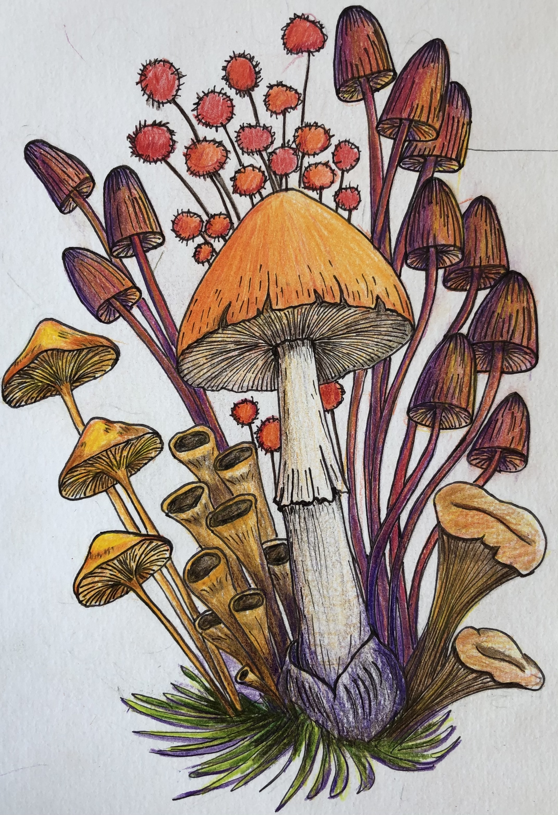 Nft Mushroom world