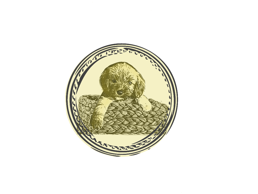 Nft Puppy Charity Token