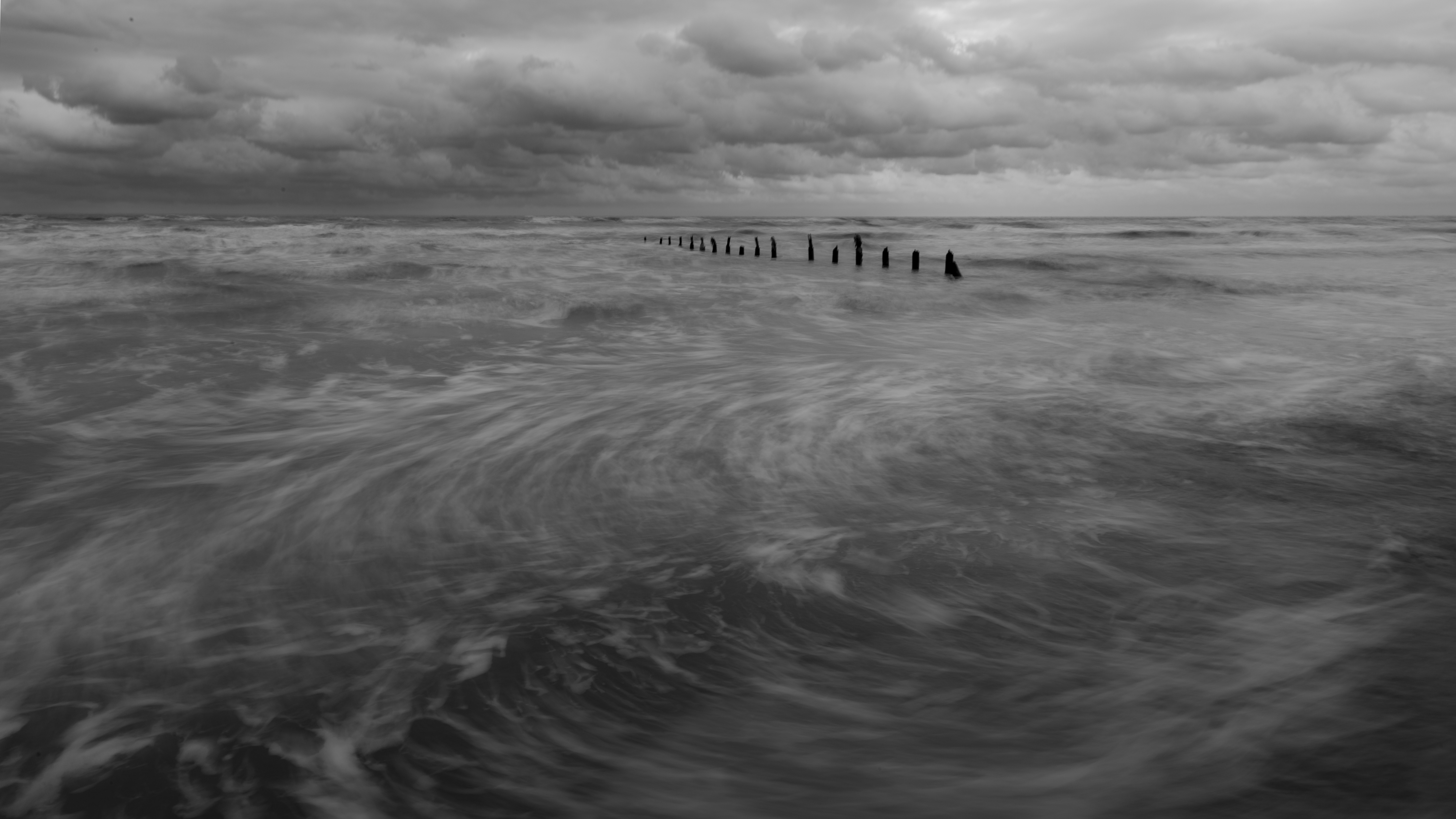 Nft SEA_M.E