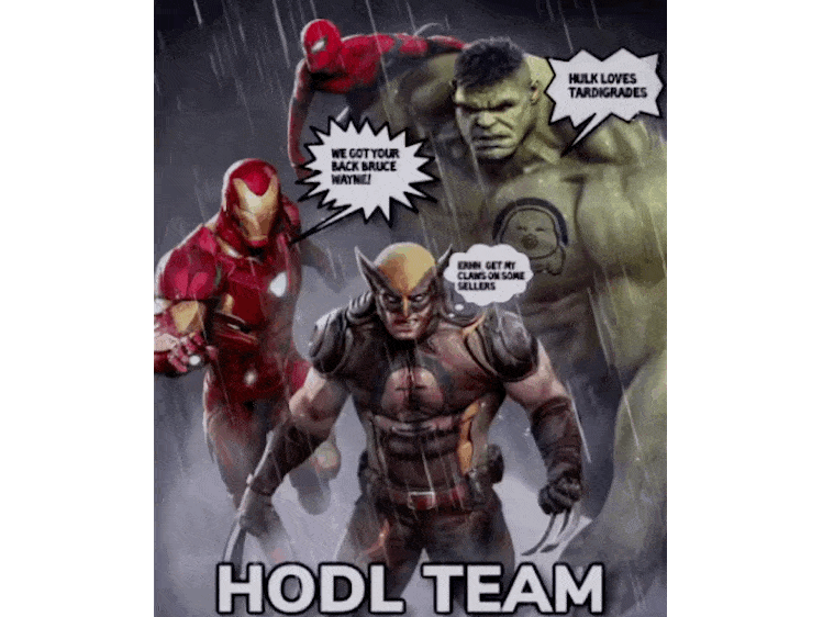 Nft TRDG HODL TEAM