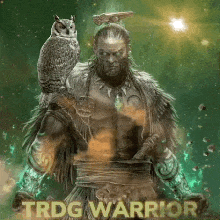 Nft TRDG Warrior