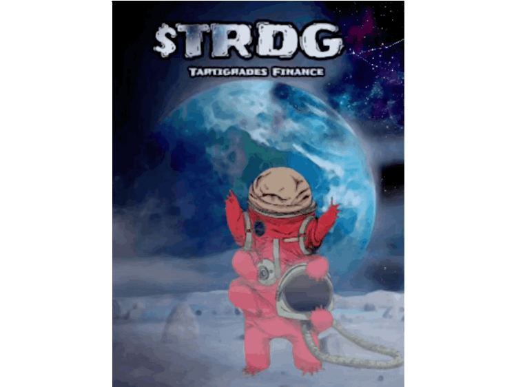 Nft Tardigrades on the Moon