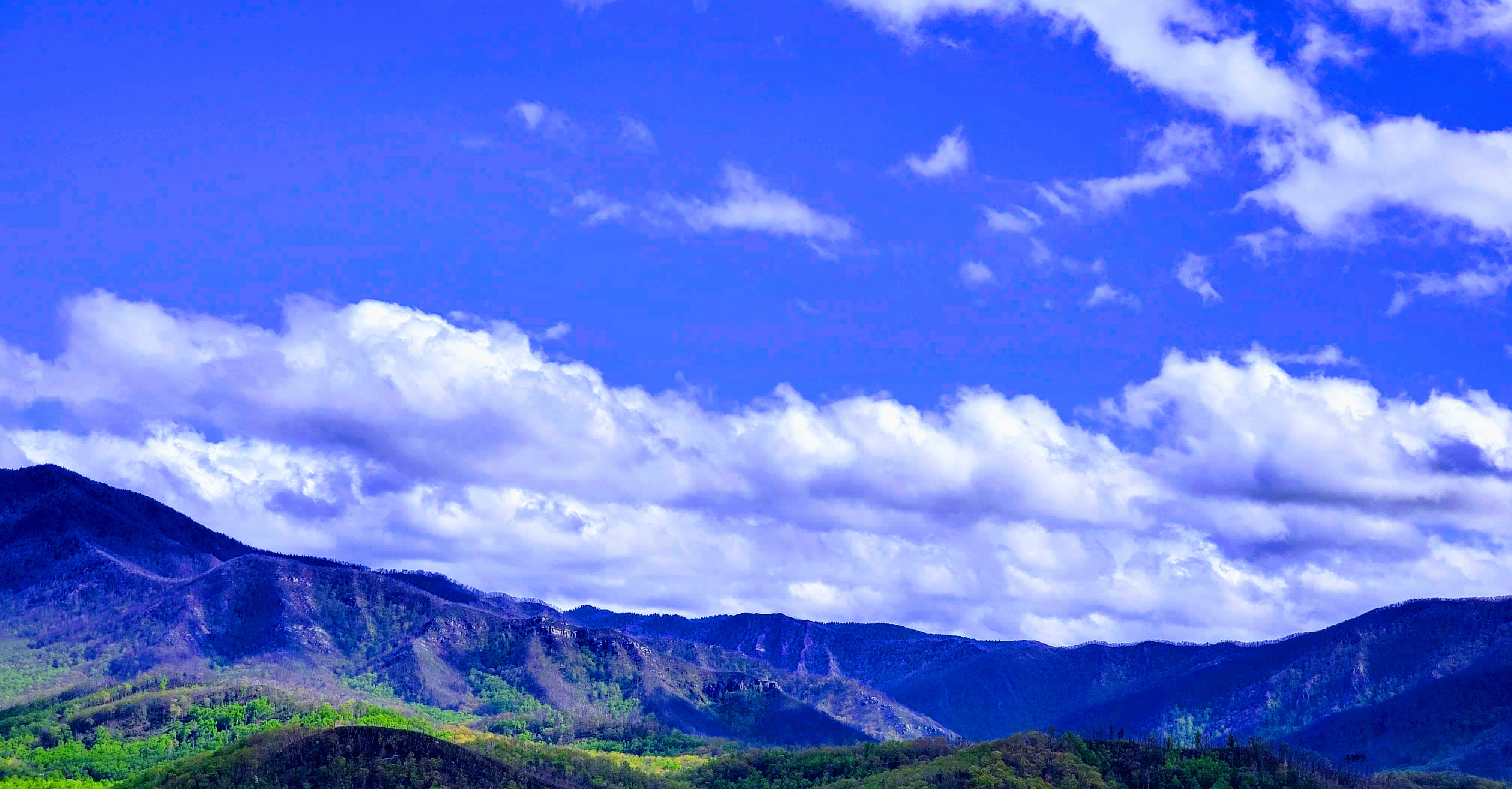 Nft Tennessee Mountain range