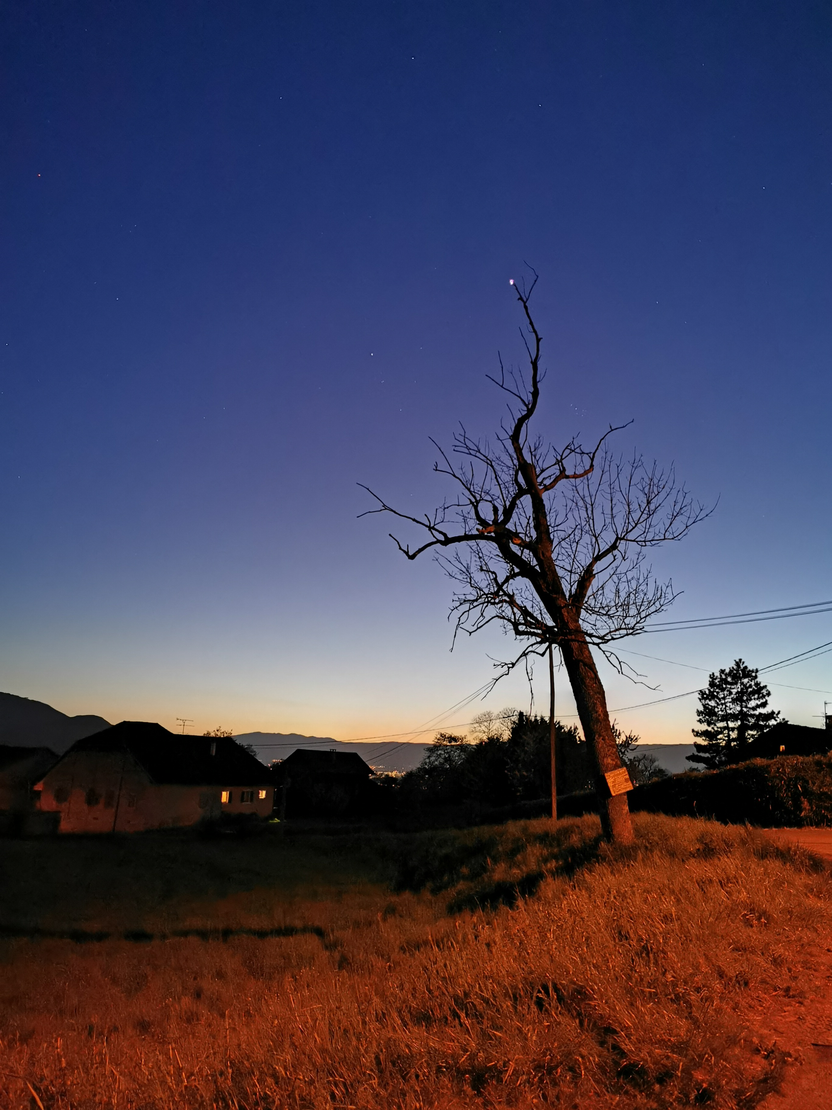 Nft Treestar