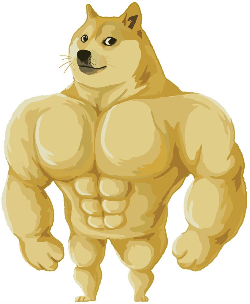 User profile avatar