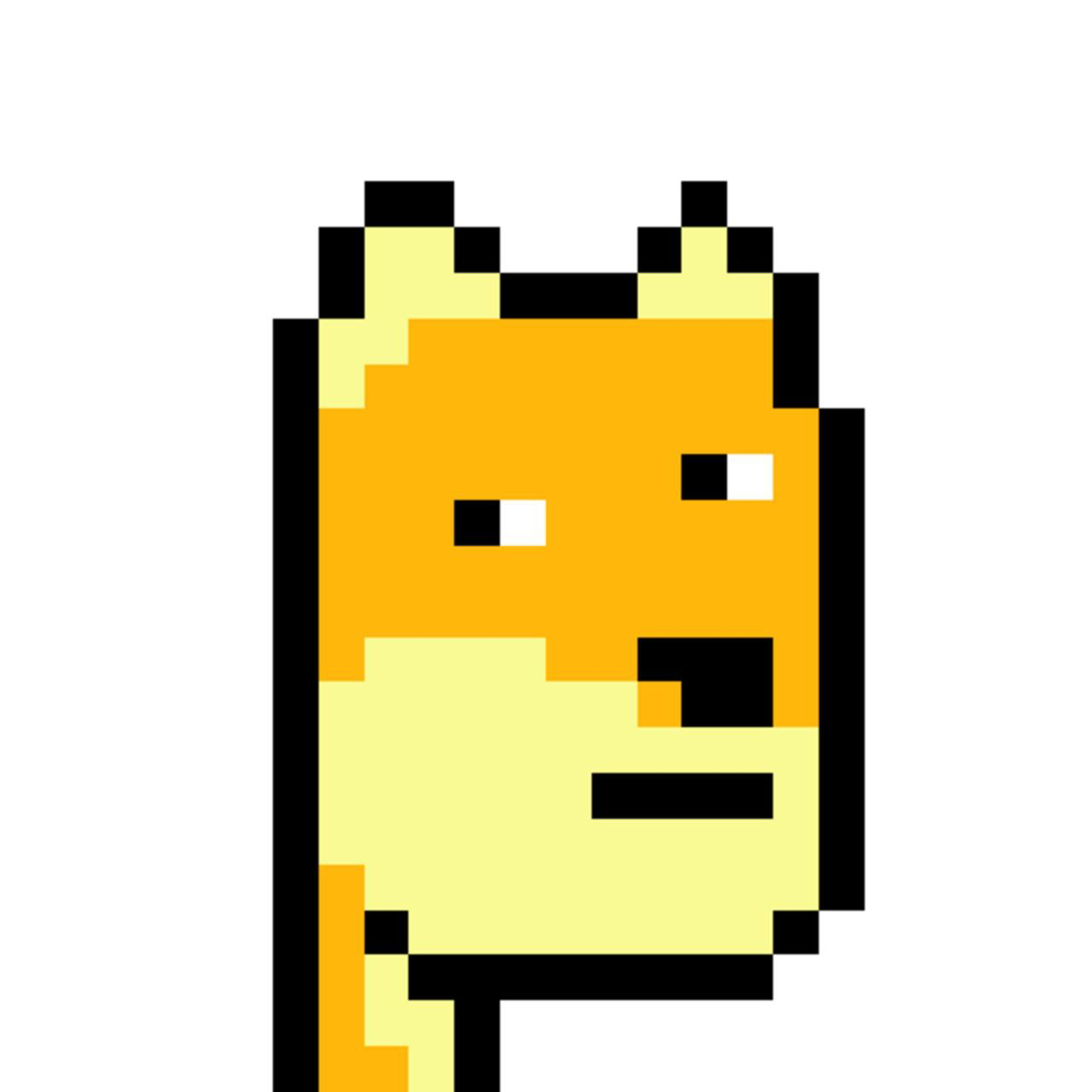User profile avatar